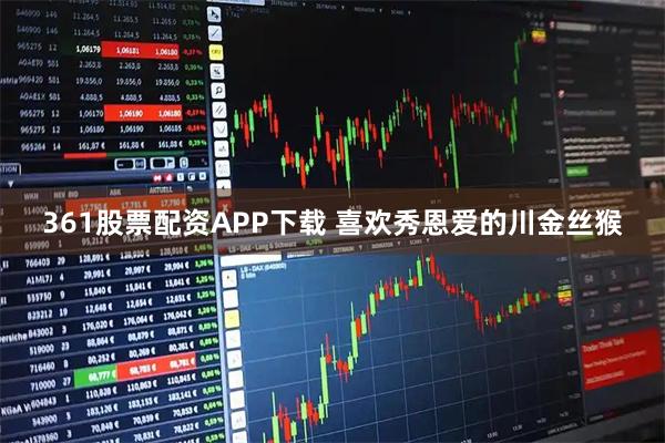 361股票配资APP下载 喜欢秀恩爱的川金丝猴