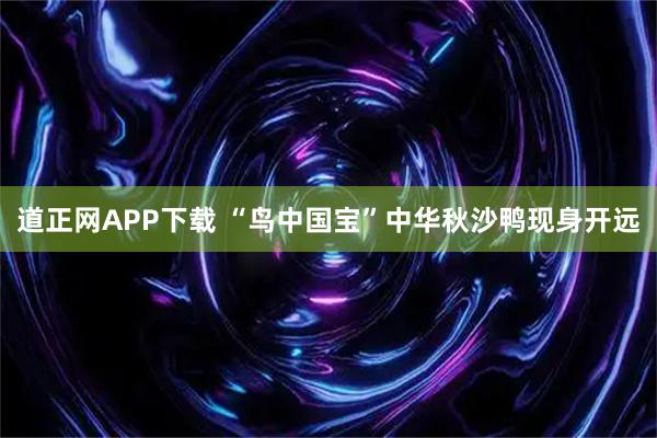 道正网APP下载 “鸟中国宝”中华秋沙鸭现身开远