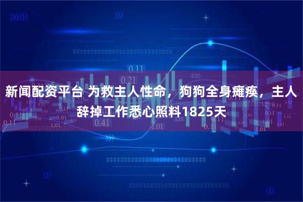 新闻配资平台 为救主人性命，狗狗全身瘫痪，主人辞掉工作悉心照料1825天