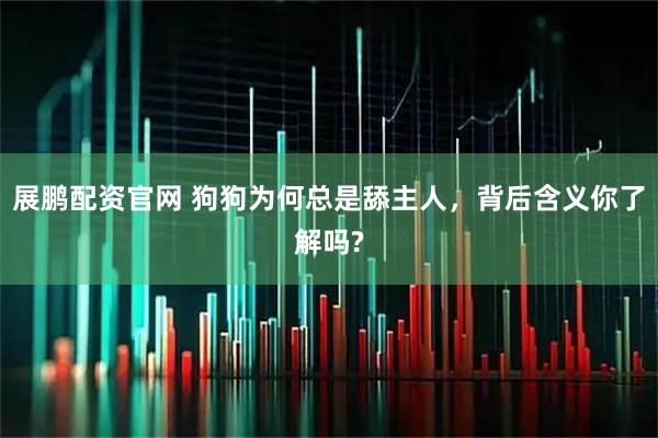 展鹏配资官网 狗狗为何总是舔主人，背后含义你了解吗?