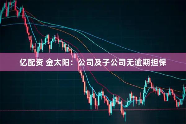 亿配资 金太阳：公司及子公司无逾期担保