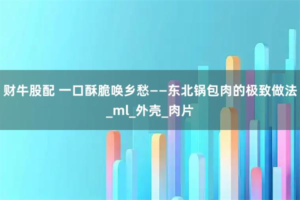 财牛股配 一口酥脆唤乡愁——东北锅包肉的极致做法_ml_外壳_肉片